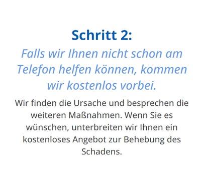 Schimmel